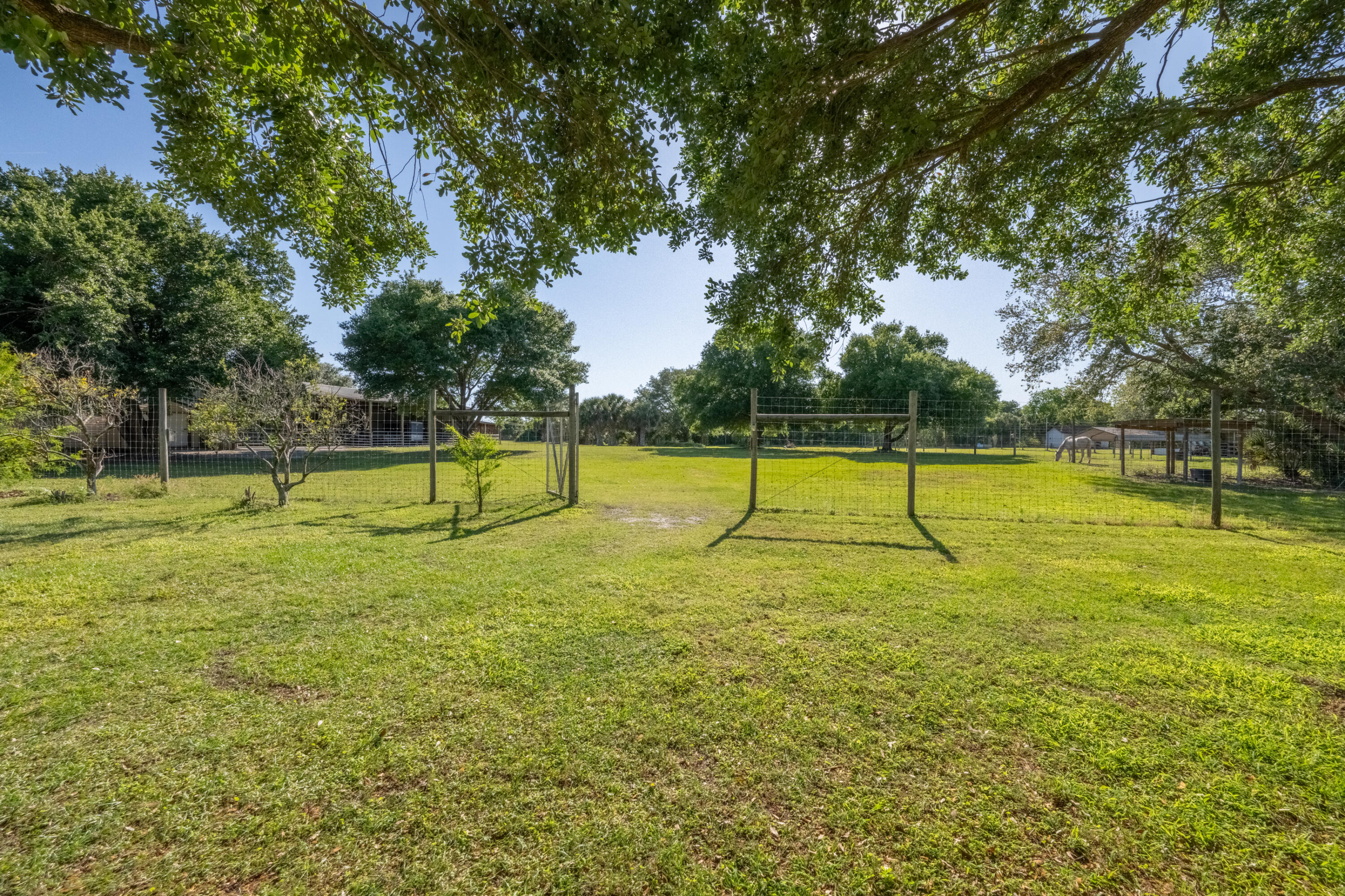 4600 Dixie Way Mims, FL 32754 - Photo 40 of 86 a view of a tennis ground with a large trees
