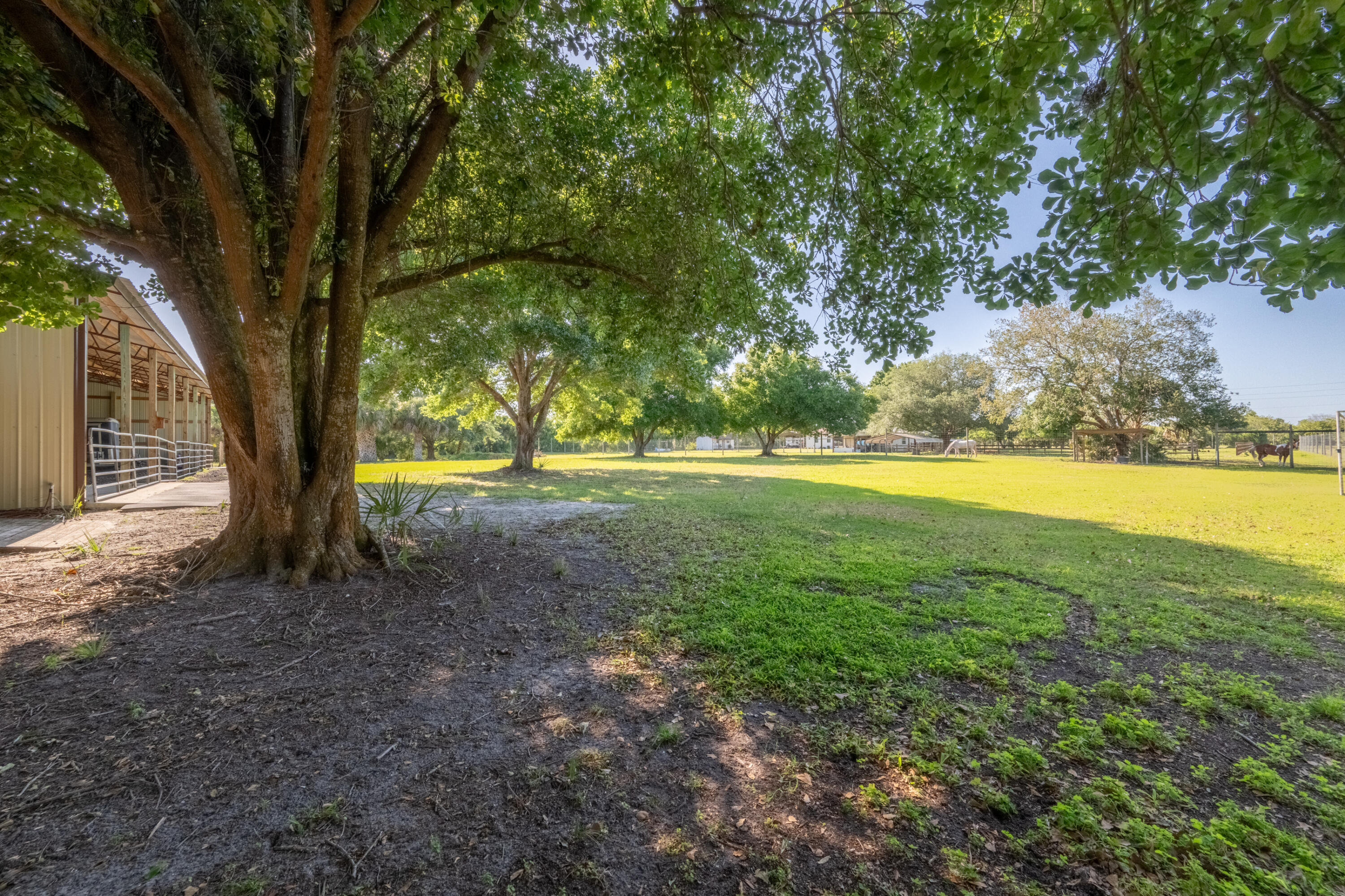 4600 Dixie Way Mims, FL 32754 - Photo 41 of 86 a view of outdoor space with trees