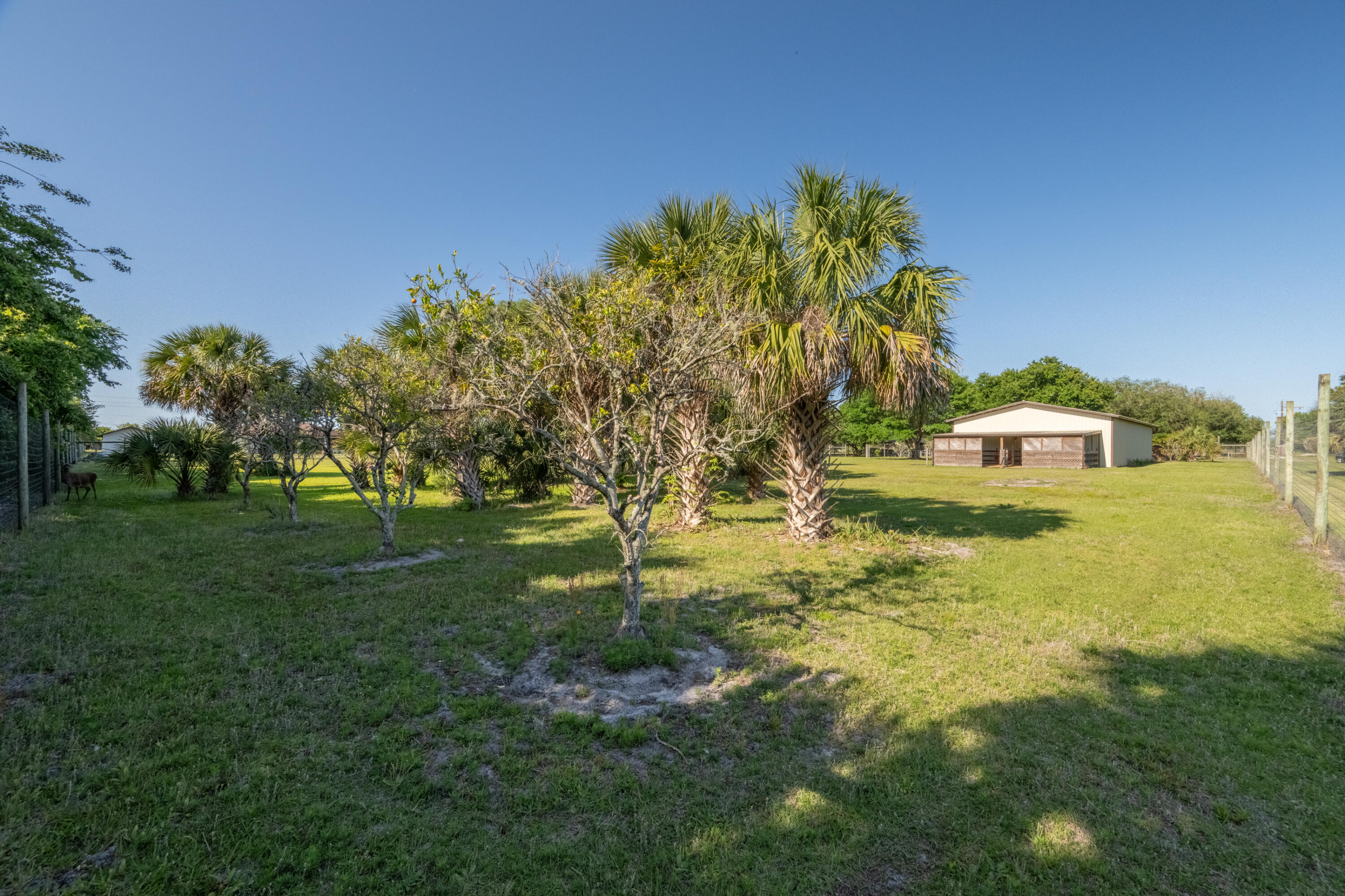 4600 Dixie Way Mims, FL 32754 - Photo 46 of 86 JCP_3309-HDR