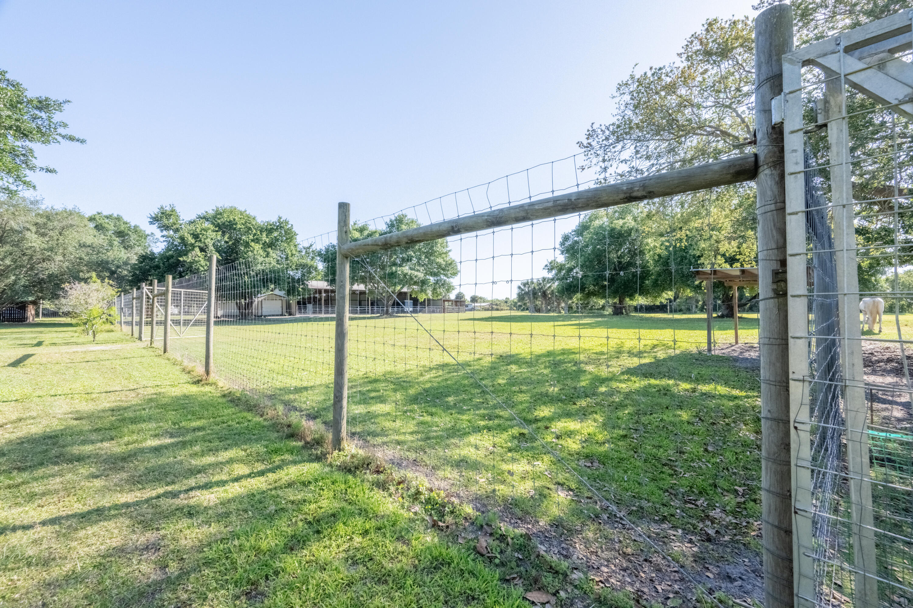 4600 Dixie Way Mims, FL 32754 - Photo 47 of 86 a view of a park with a large tree