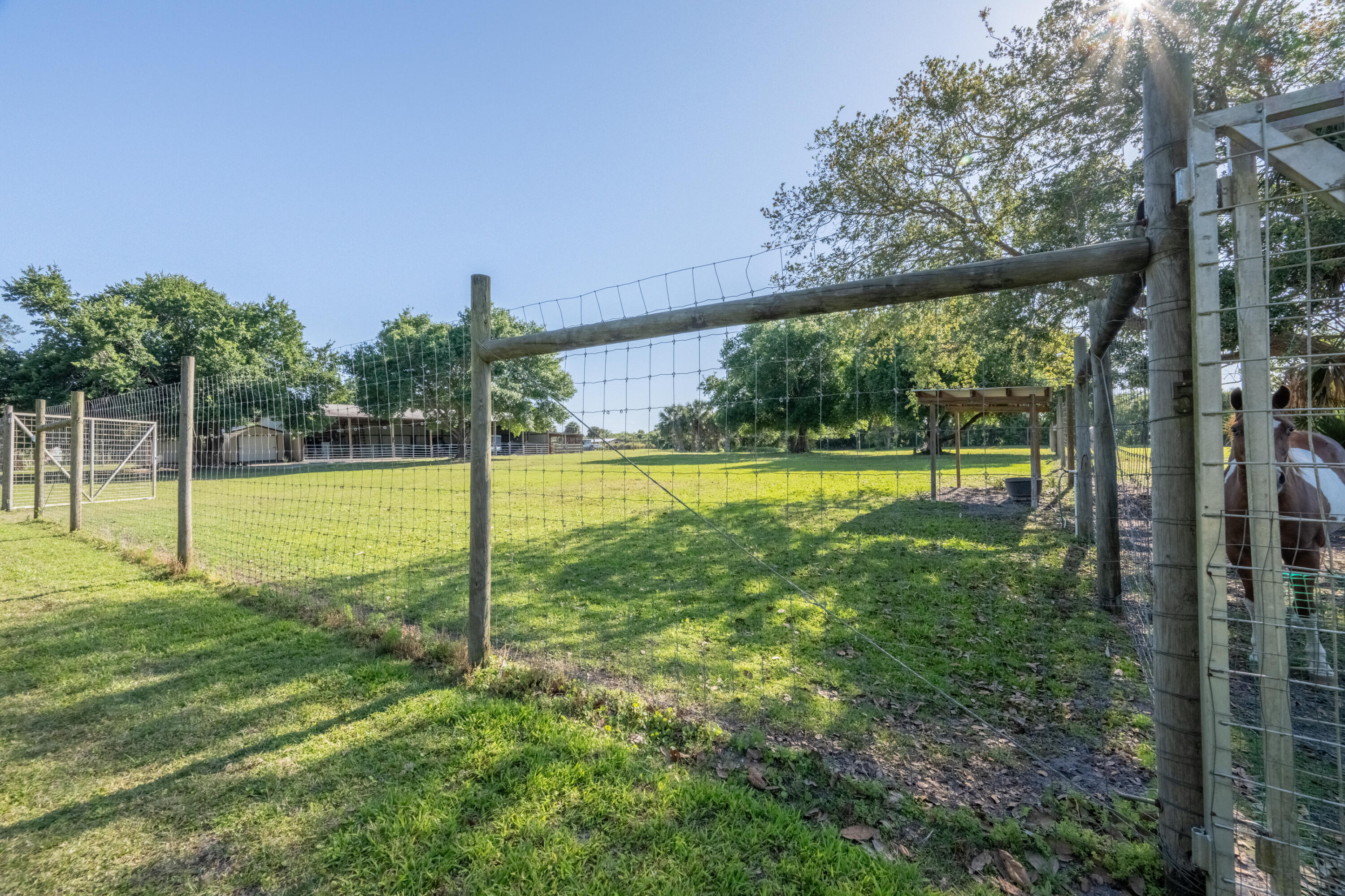 4600 Dixie Way Mims, FL 32754 - Photo 50 of 86 a view of a garden with a slide