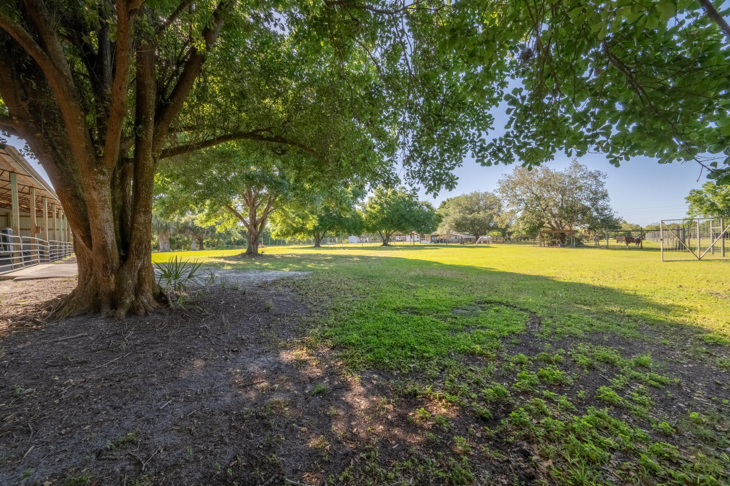 4600 Dixie Way Mims, FL 32754 - Photo 66 of 86 a view of outdoor space with trees all around