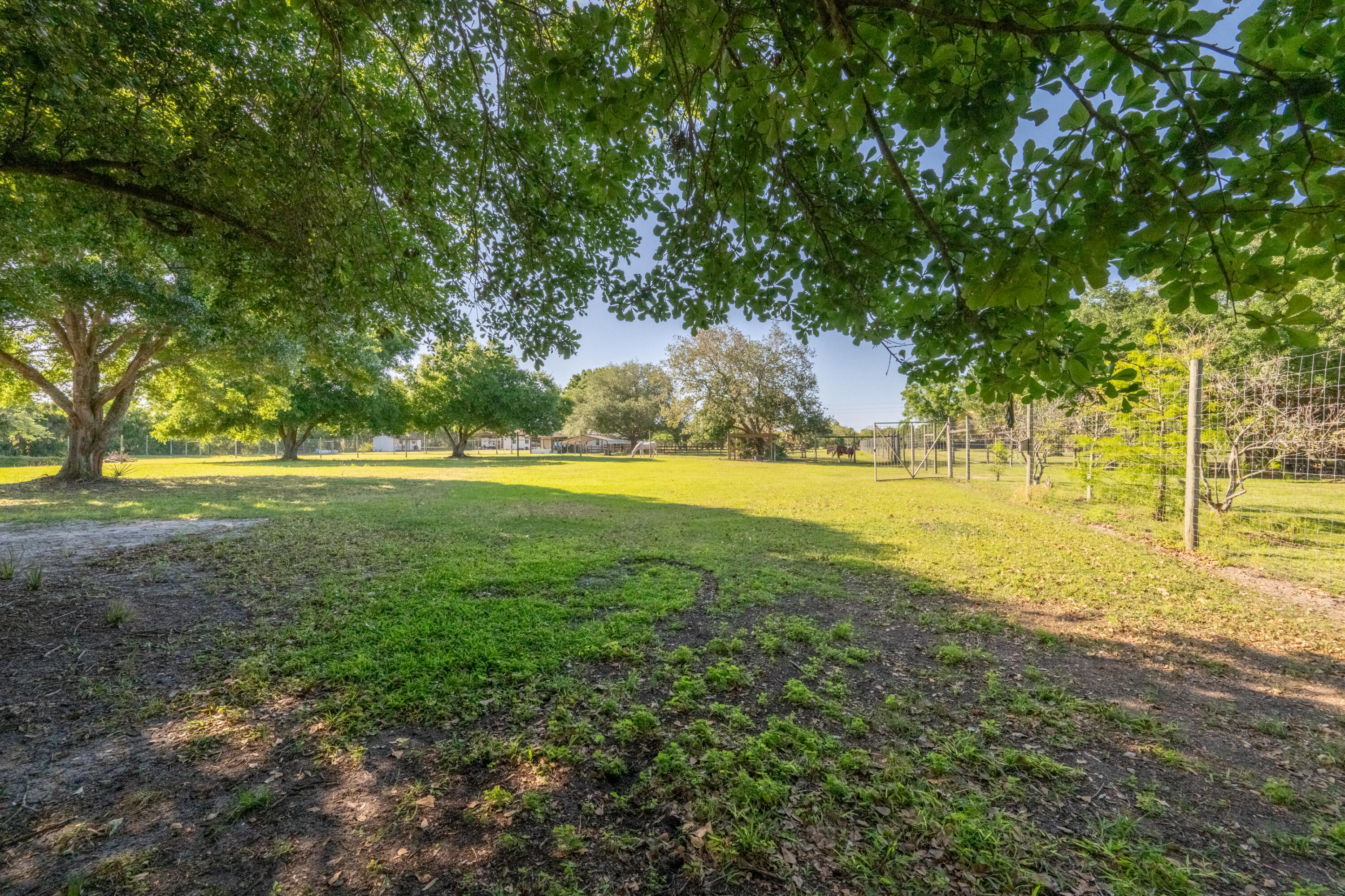 4600 Dixie Way Mims, FL 32754 - Photo 73 of 86 a view of yard with green space and trees all around