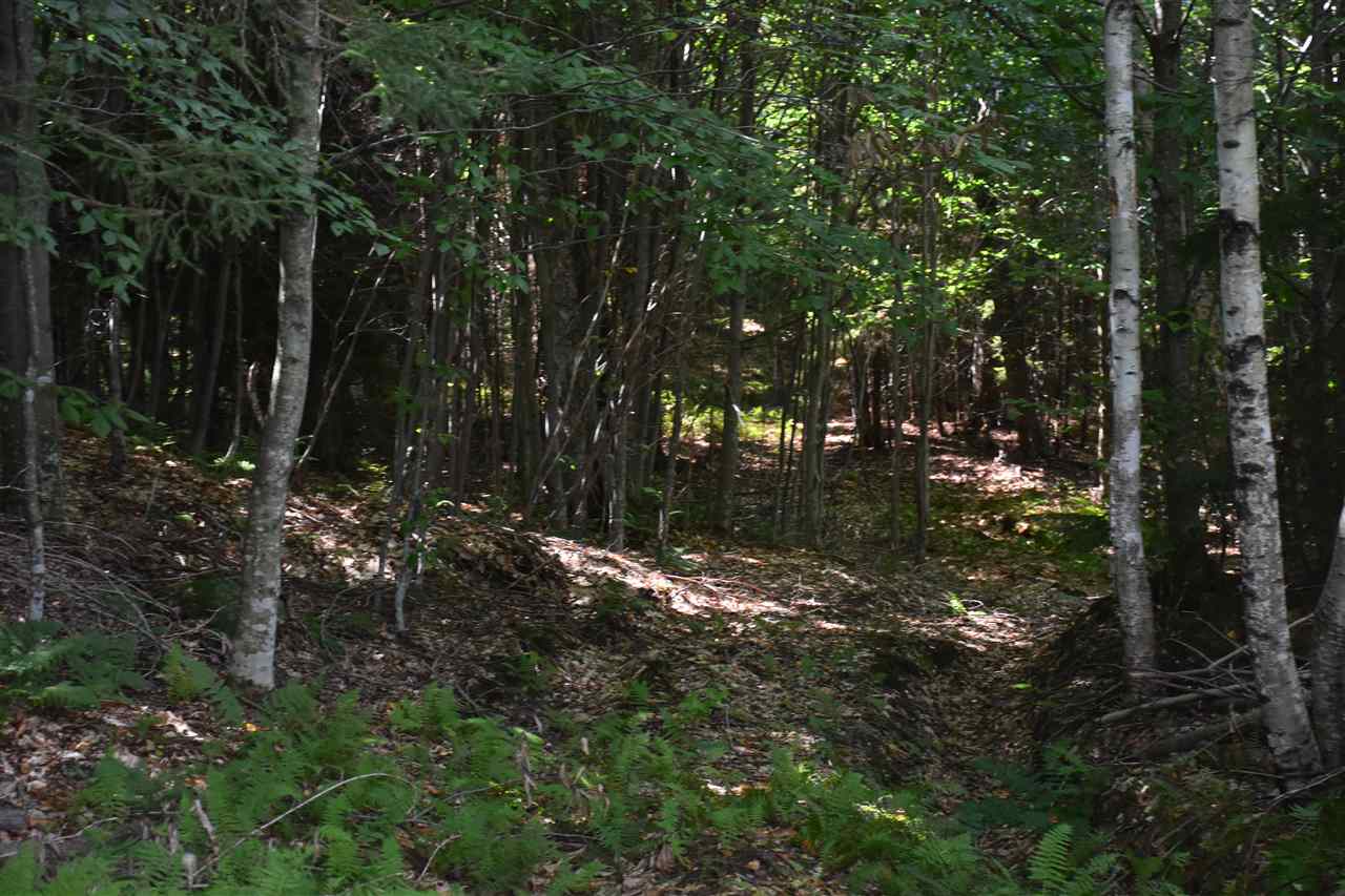 256 East Hill Road Middlesex, VT 05602 - Photo 34 of 40 Gallery Image 34
