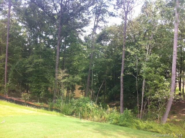 1078 Wallace Lake Road, Unit 93 Indian Land, SC 29707 - Photo 2 of 12 Gallery Image 2