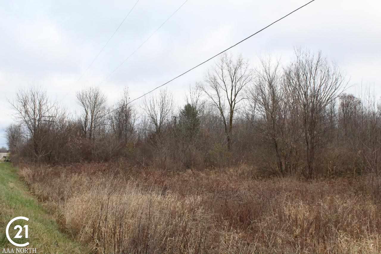 0 South Lake George Road Attica, MI 48412 - Photo 7 of 9