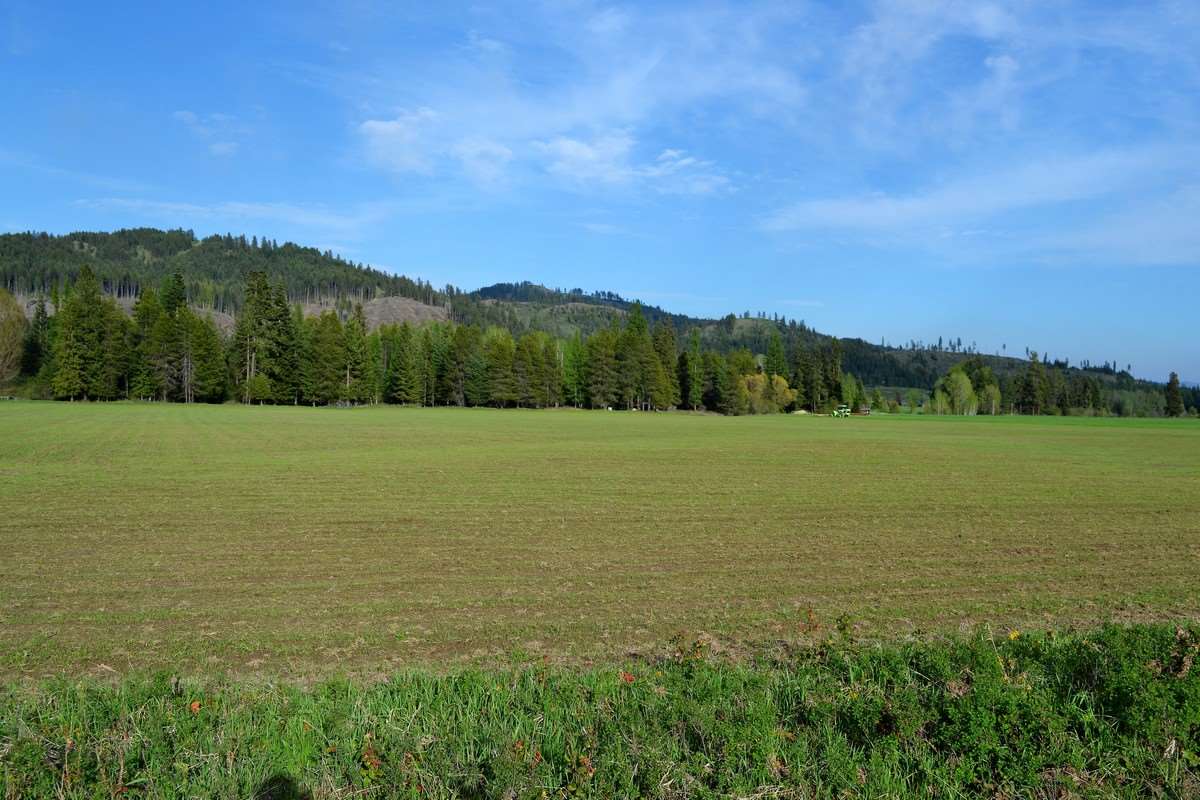 661 Berry Road Usk, WA 99180 - Photo 1 of 1