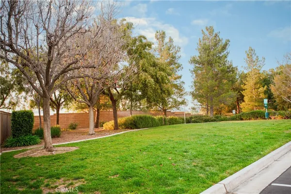 a view of a backyard with large trees
