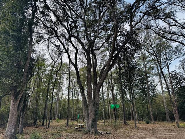 79789 North Willie Road Folsom, LA 70437 - Photo 2 of 18