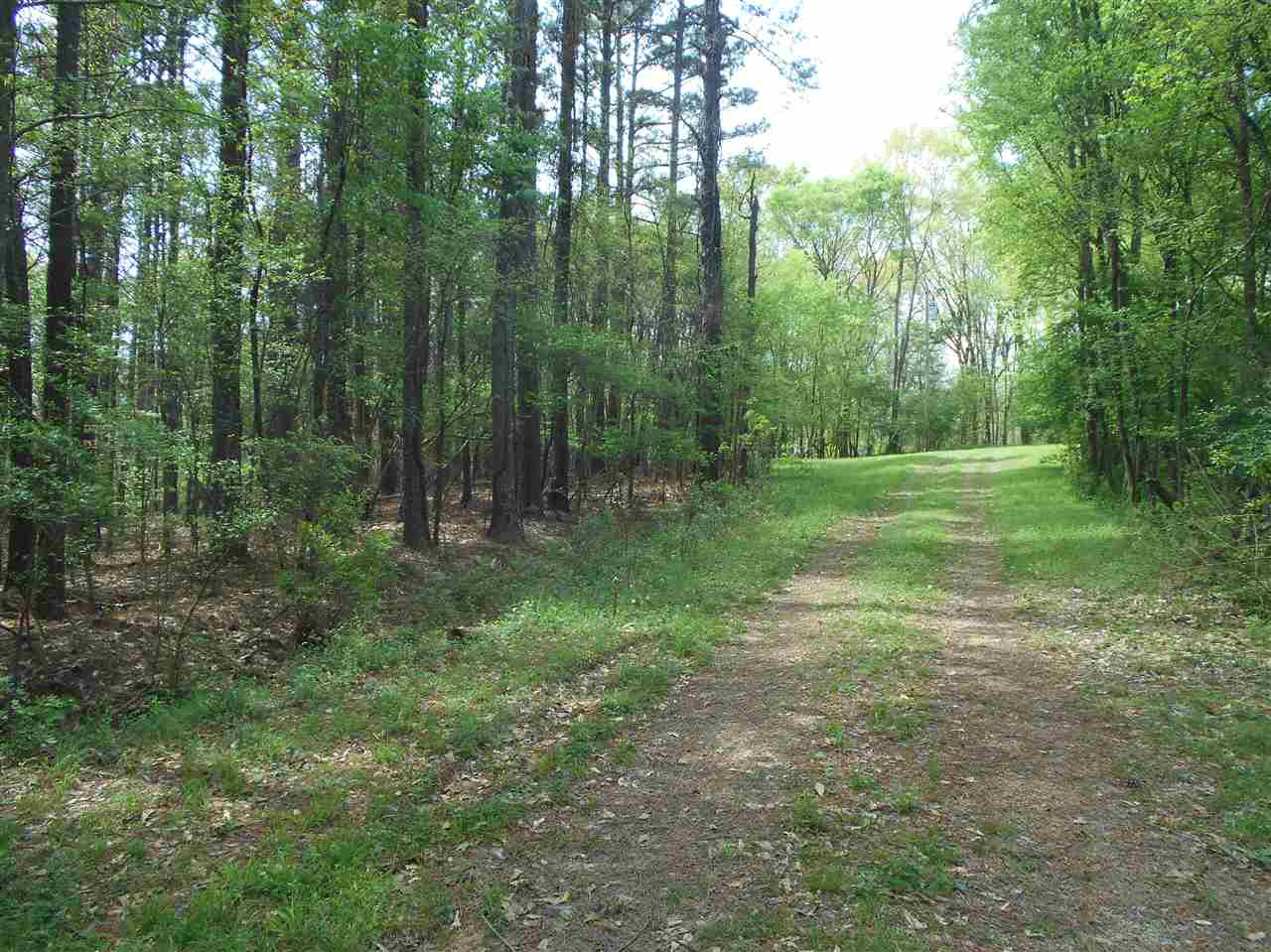 0 Hardy Road Madison, MS 39110 - Photo 1 of 20 Photo 1