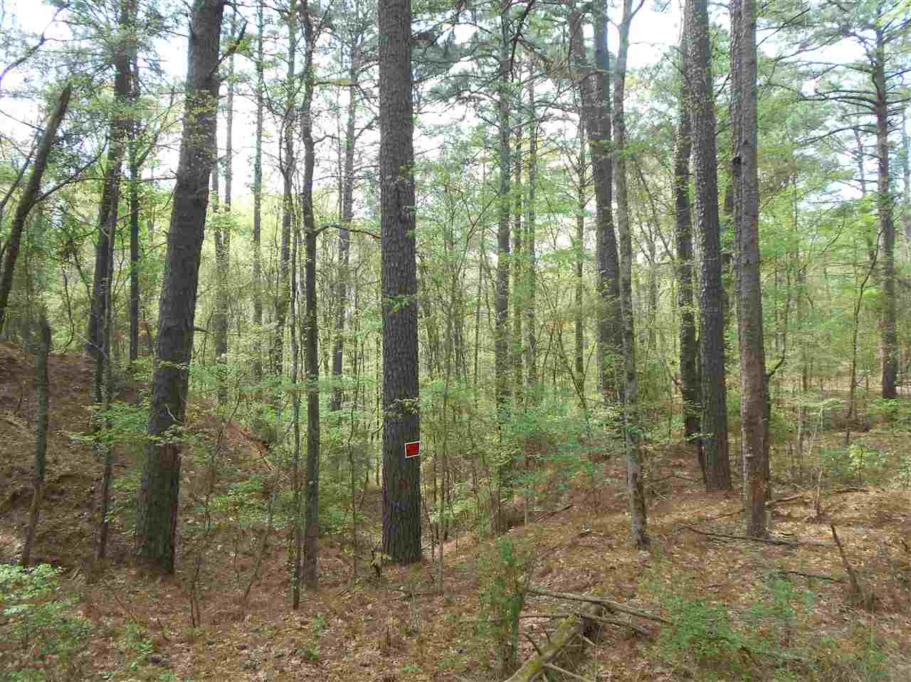 0 Hardy Road Madison, MS 39110 - Photo 11 of 20 Photo 11