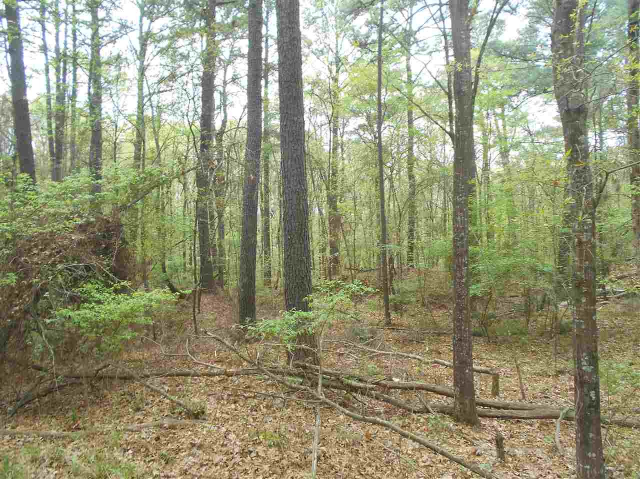 0 Hardy Road Madison, MS 39110 - Photo 12 of 20 Photo 12