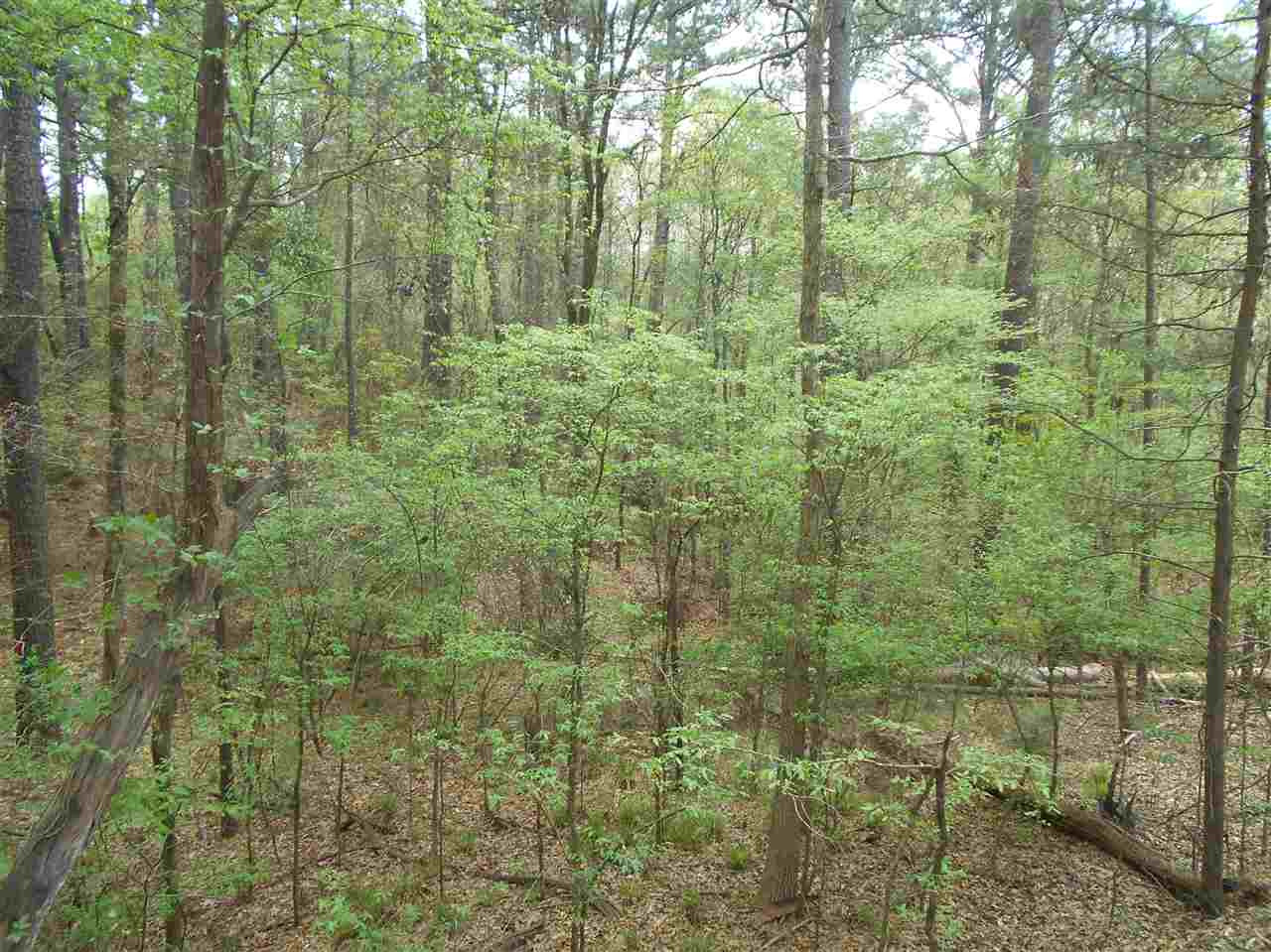 0 Hardy Road Madison, MS 39110 - Photo 13 of 20 Photo 13