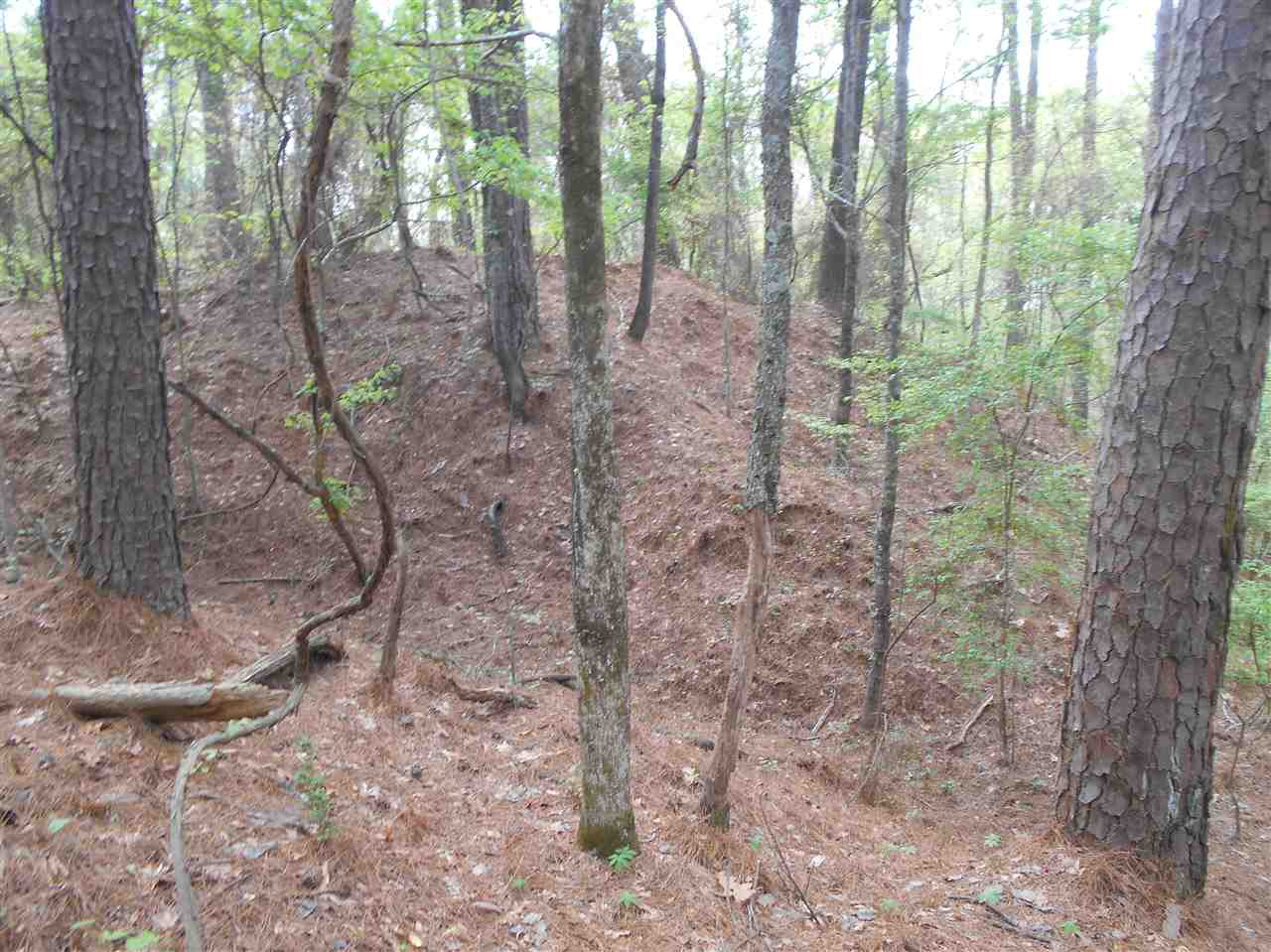 0 Hardy Road Madison, MS 39110 - Photo 14 of 20 Photo 14
