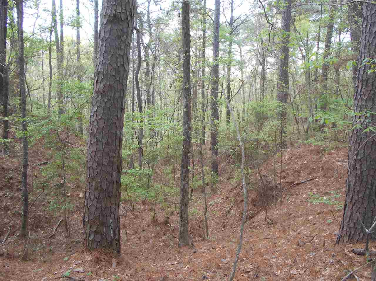 0 Hardy Road Madison, MS 39110 - Photo 15 of 20 Photo 15