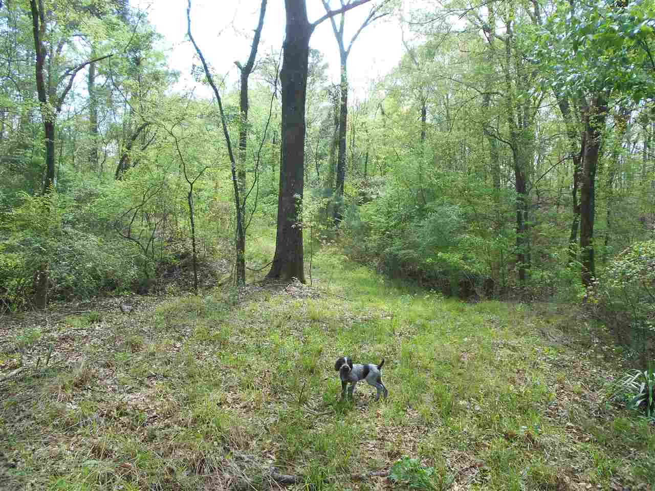0 Hardy Road Madison, MS 39110 - Photo 16 of 20 Photo 16