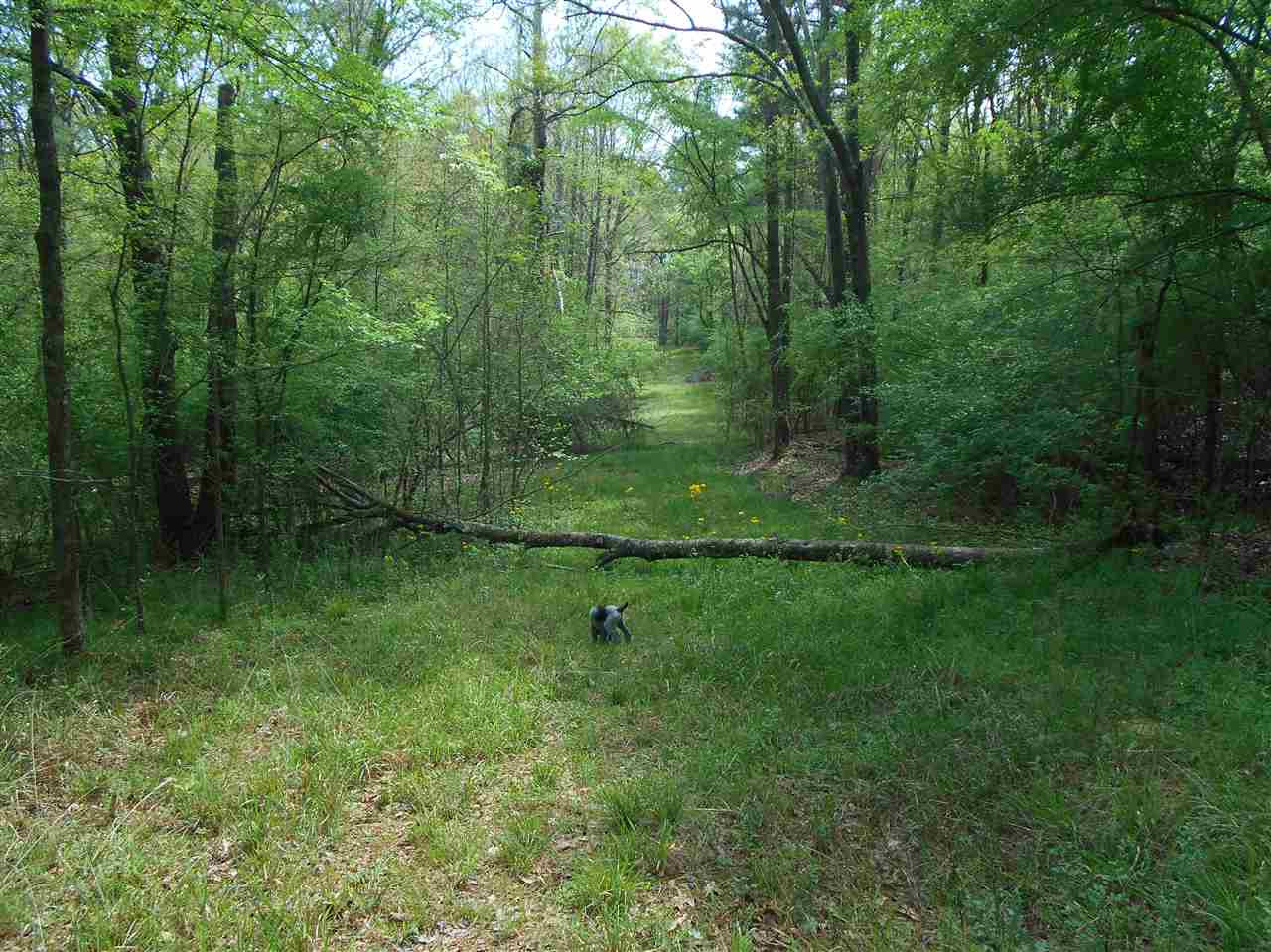 0 Hardy Road Madison, MS 39110 - Photo 17 of 20 Photo 17