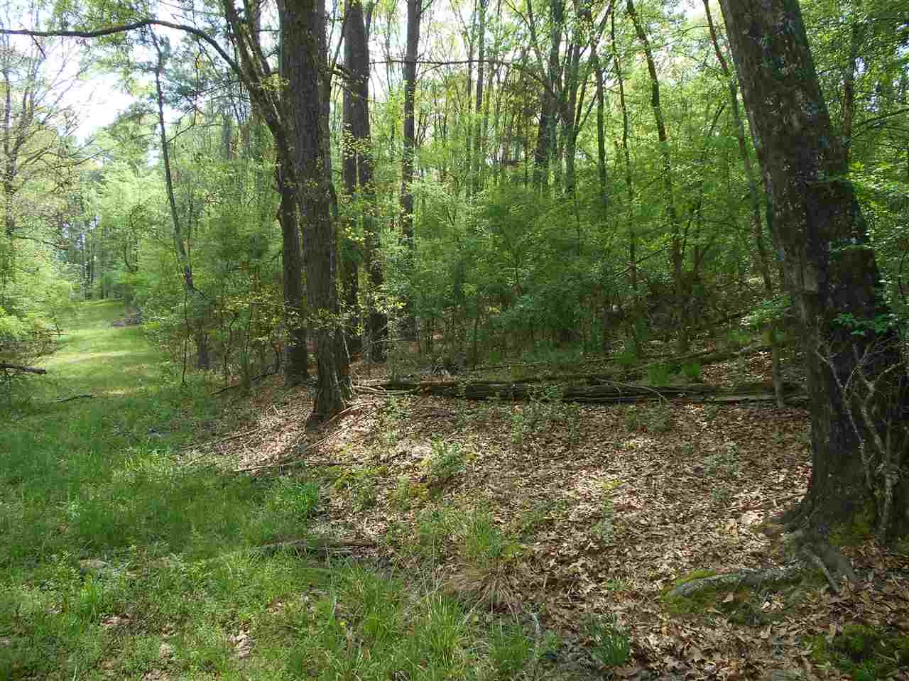 0 Hardy Road Madison, MS 39110 - Photo 18 of 20 Photo 18