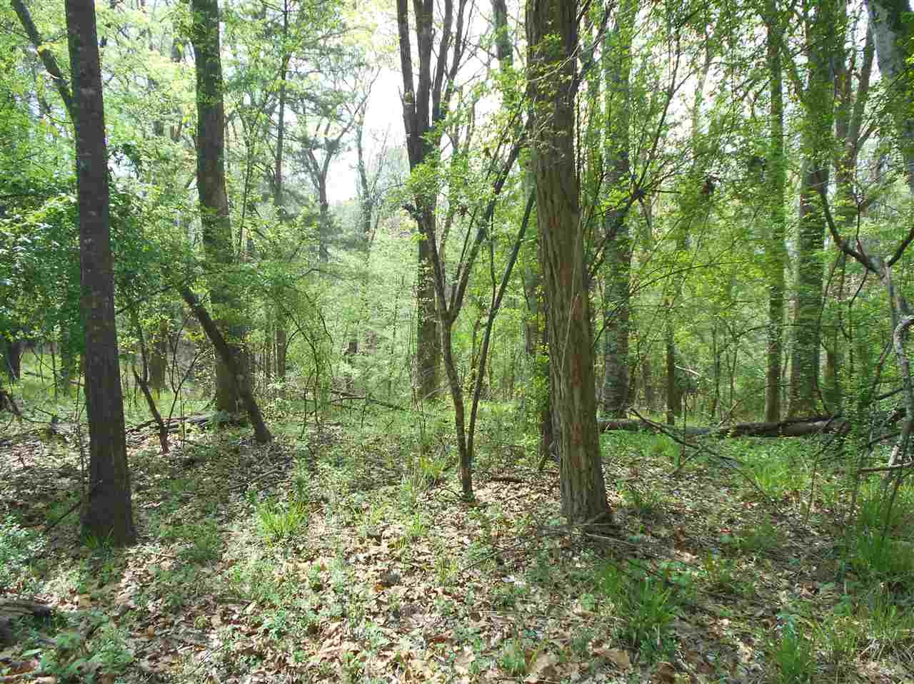 0 Hardy Road Madison, MS 39110 - Photo 2 of 20 Photo 2
