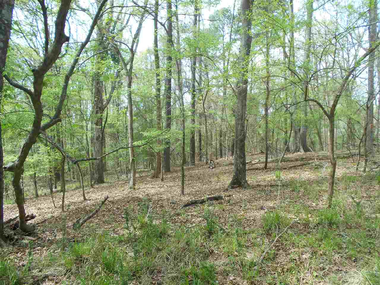 0 Hardy Road Madison, MS 39110 - Photo 3 of 20 Photo 3