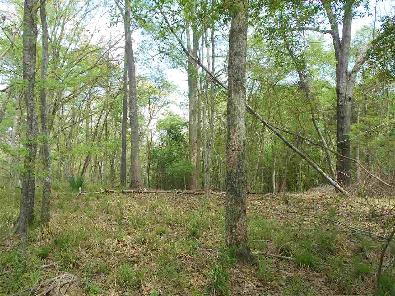 0 Hardy Road Madison, MS 39110 - Photo 4 of 20 Photo 4