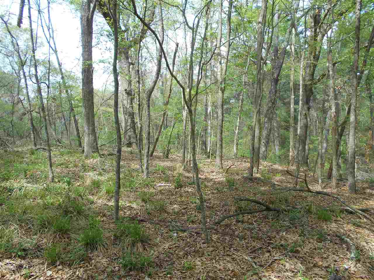 0 Hardy Road Madison, MS 39110 - Photo 5 of 20 Photo 5