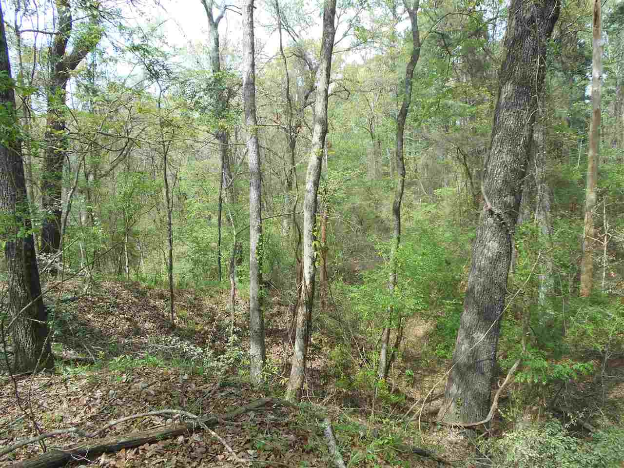 0 Hardy Road Madison, MS 39110 - Photo 6 of 20 Photo 6
