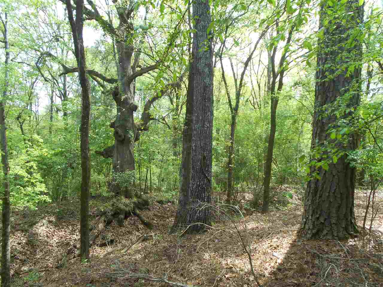 0 Hardy Road Madison, MS 39110 - Photo 7 of 20 Photo 7