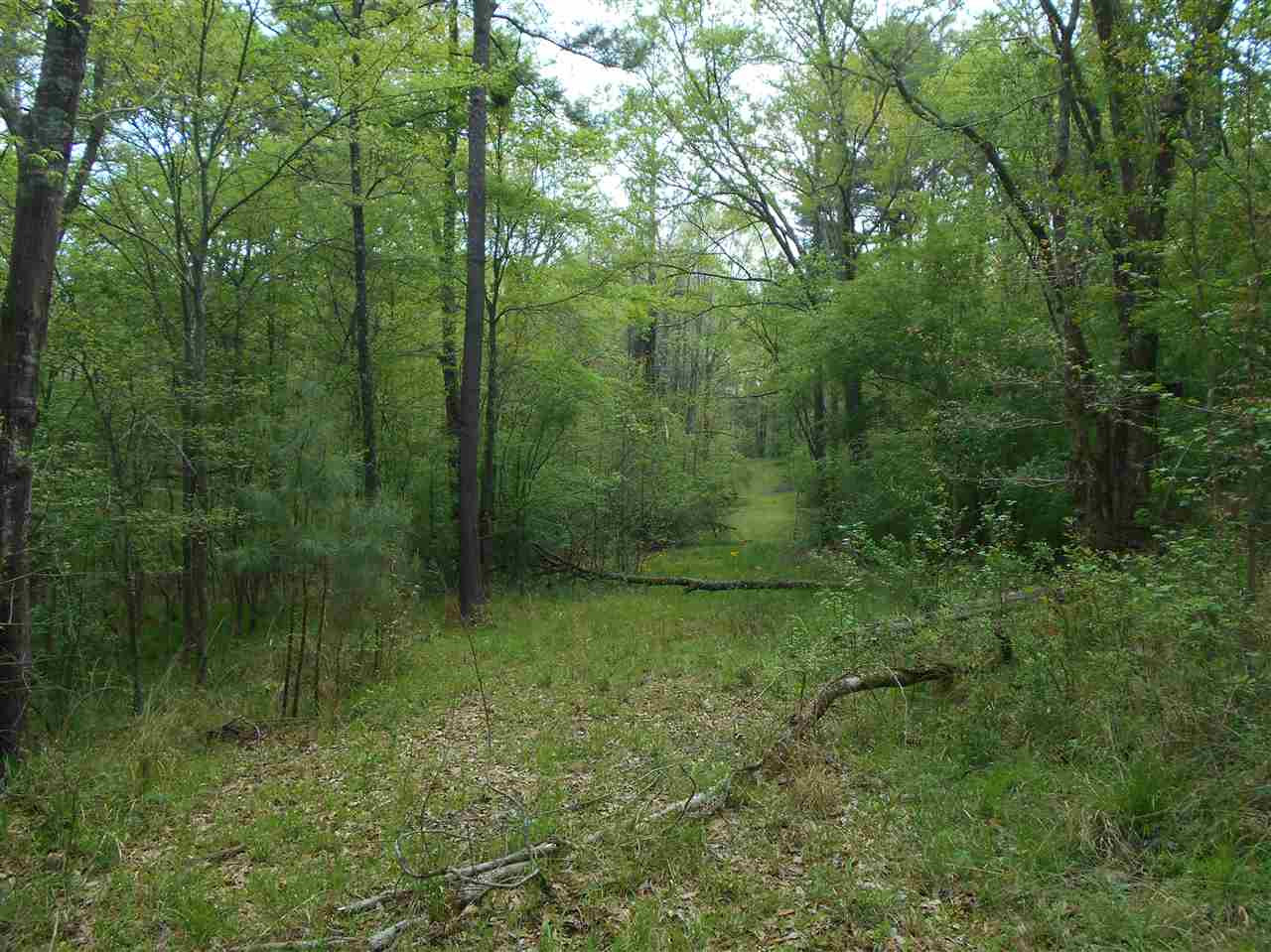 0 Hardy Road Madison, MS 39110 - Photo 8 of 20 Photo 8