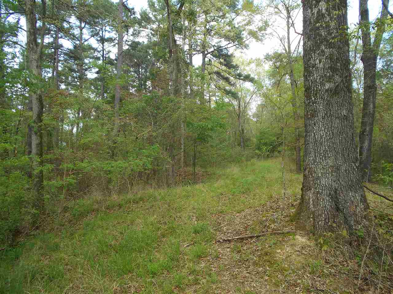 0 Hardy Road Madison, MS 39110 - Photo 9 of 20 Photo 9