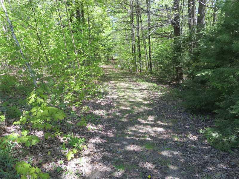 683 Sandy River Road Kents Hill, ME 04349 - Photo 33 of 35 Other. Path to Parker Pond.