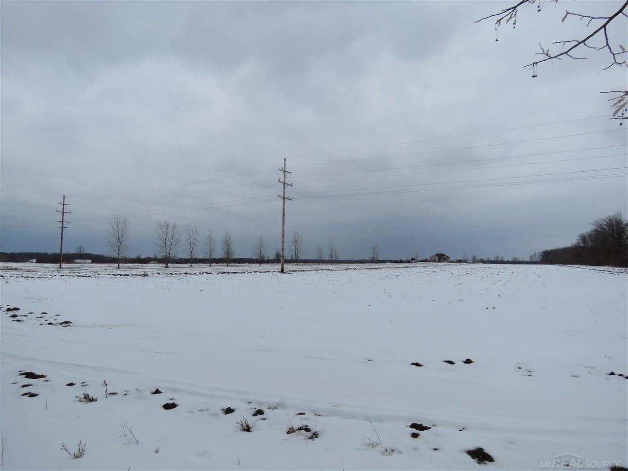0 Fisher Road Avoca, MI 48006 - Photo 6 of 6