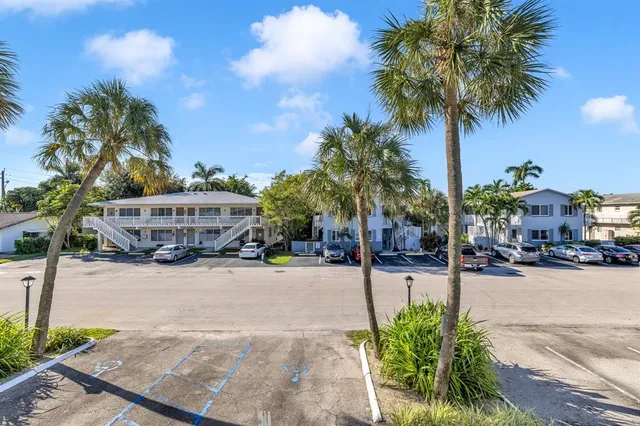 a palm tree sitting in front of a building with palm trees