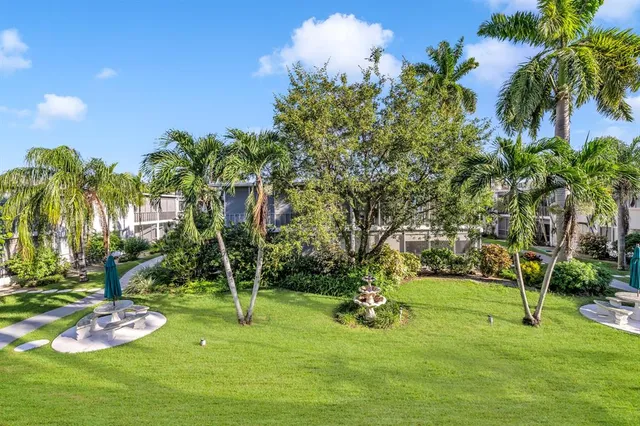 a view of a backyard with palm trees