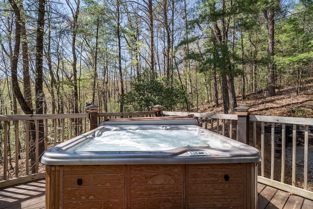 191 Mountain View Road Ellijay, GA 30540 - Photo 17 of 27 Gallery Image 17