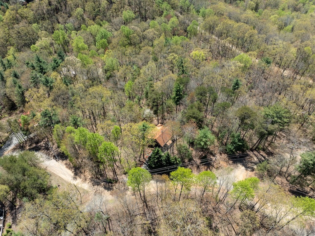 191 Mountain View Road Ellijay, GA 30540 - Photo 21 of 27 Gallery Image 21