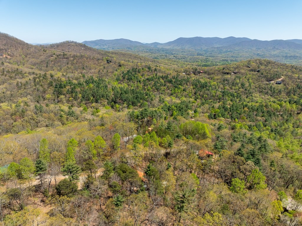 191 Mountain View Road Ellijay, GA 30540 - Photo 22 of 27 Gallery Image 22