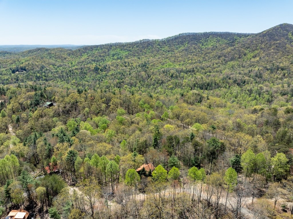 191 Mountain View Road Ellijay, GA 30540 - Photo 25 of 27 Gallery Image 25