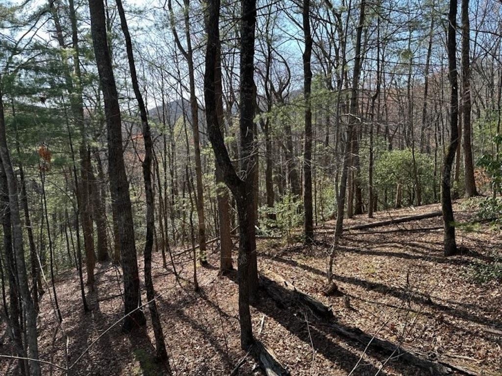 191 Mountain View Road Ellijay, GA 30540 - Photo 26 of 27 Gallery Image 26