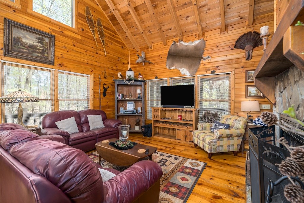 191 Mountain View Road Ellijay, GA 30540 - Photo 3 of 27 Gallery Image 3