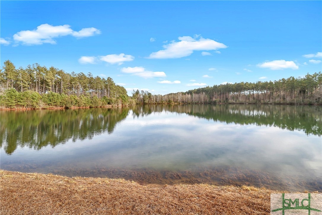 3501 Highway 21 Springfield, GA 31329 - Photo 4 of 50