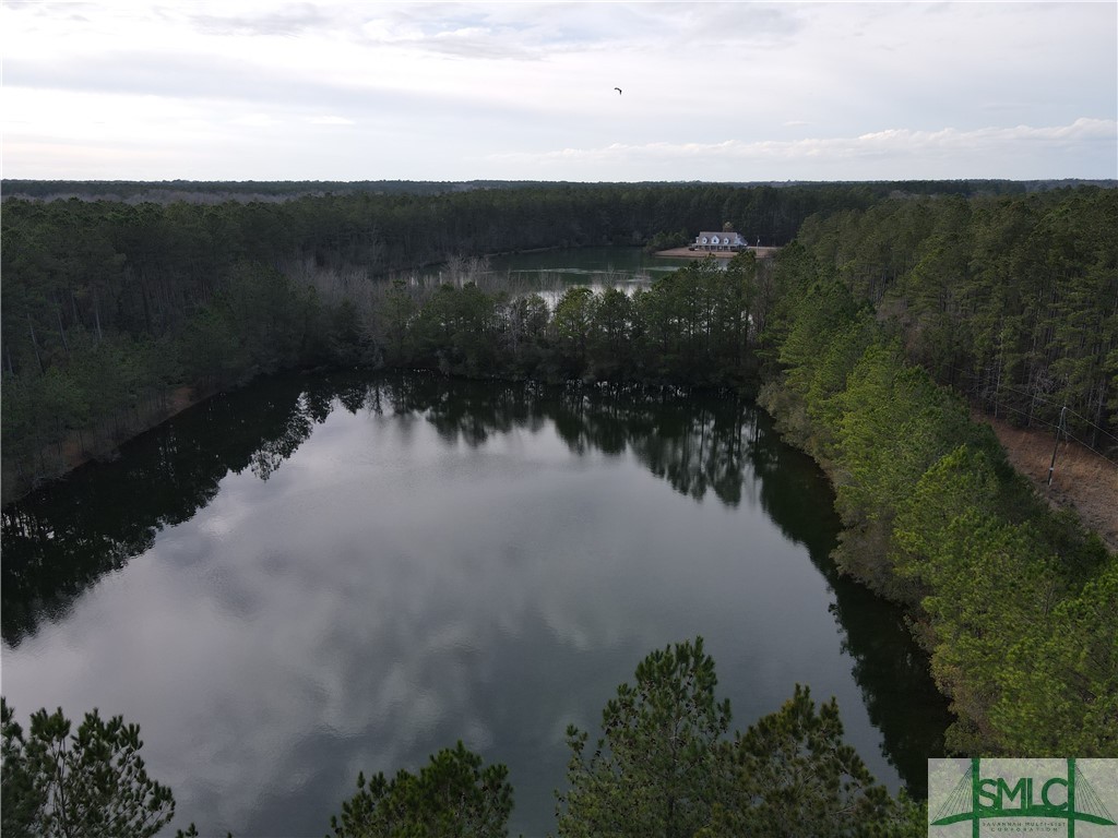 3501 Highway 21 Springfield, GA 31329 - Photo 48 of 50