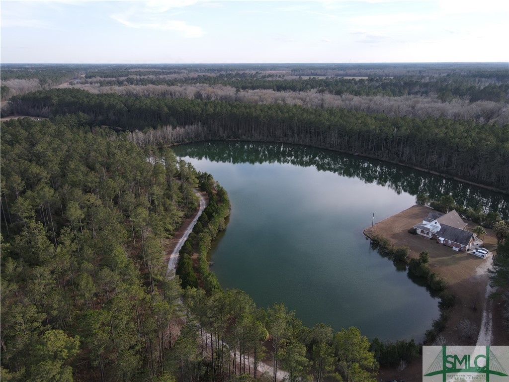 3501 Highway 21 Springfield, GA 31329 - Photo 50 of 50