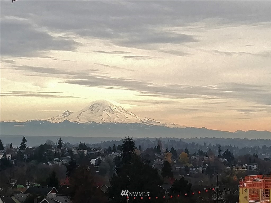 303 23rd Avenue South, Unit 602 Seattle, WA 98144 - Photo 3 of 24