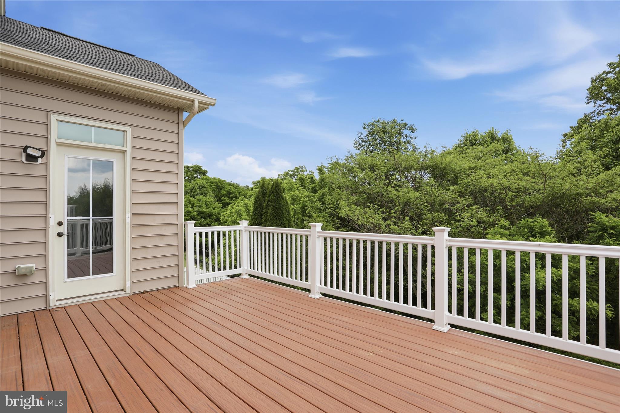 1304 Moore Spring Court Brunswick, MD 21716 - Photo 28 of 63