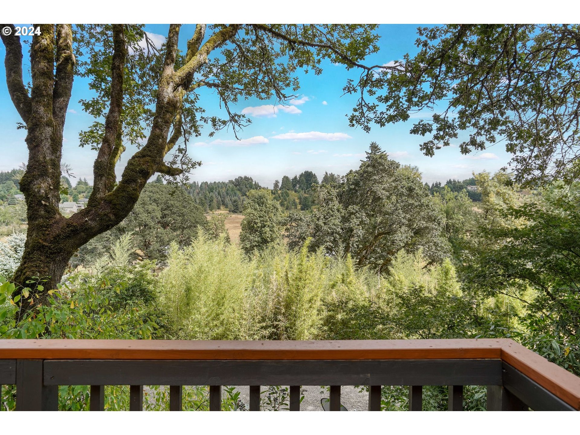 7565 Bates Road South Salem, OR 97306 - Photo 21 of 29 a view of mountain from a window