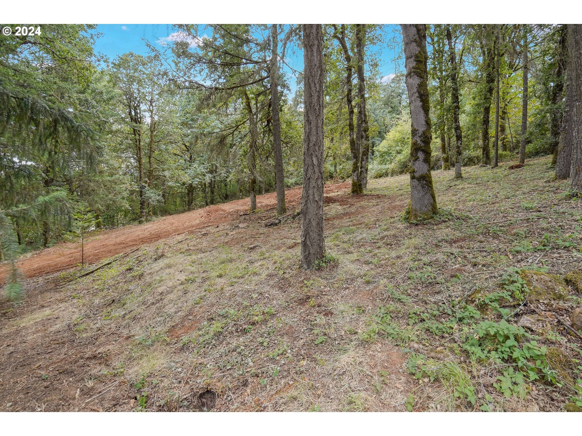 7565 Bates Road South Salem, OR 97306 - Photo 27 of 29 a view of a forest with trees in the background