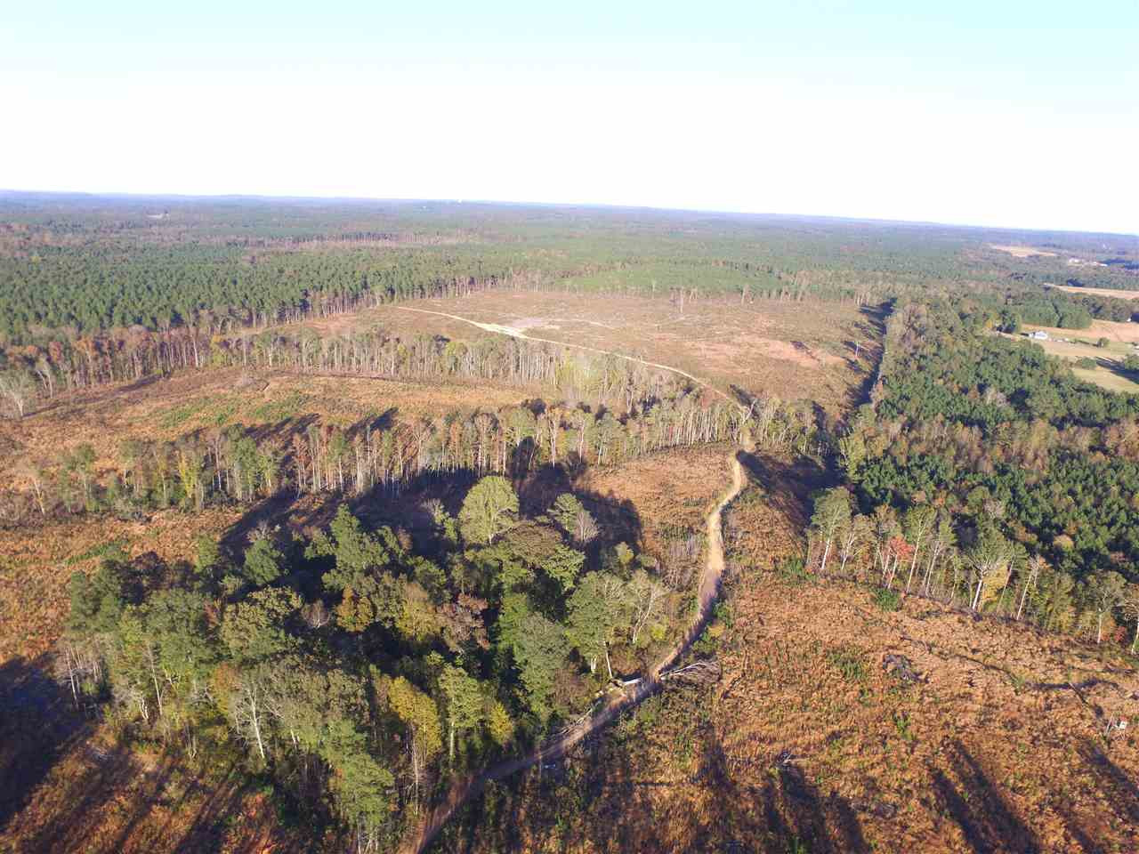 Buckner Clark Road Pittsboro, NC 27312 - Photo 13 of 14 Photo 13