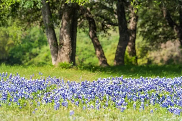 $289,000 | 27132 Founders Place, Spicewood, TX 78669