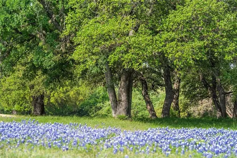 a view of outdoor space with a garden